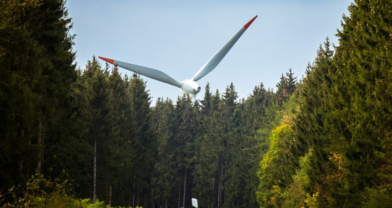 Summerande underlag till regeringen i arbetet med den klimatpolitiska handlingsplanen